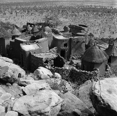 Mali reis - Dogon image 2
