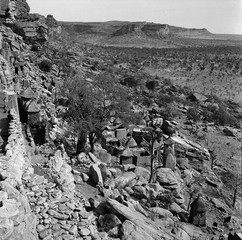 Mali reis - Dogon image 3