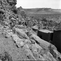 Mali reis - Dogon image 5