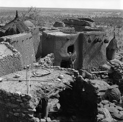 Mali reis - Dogon image 6