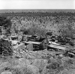 Mali reis - Dogon image 7