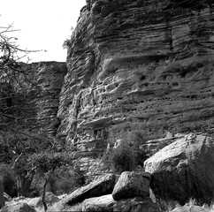 Mali reis - Dogon image 8