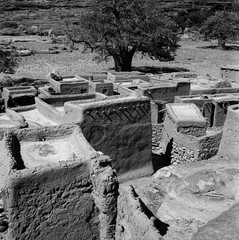 Mali reis - Dogon image 11