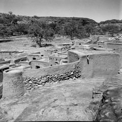 Mali reis - Dogon image 12