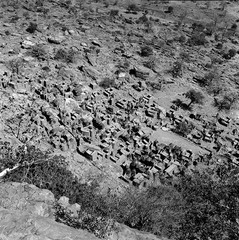 Mali reis - Dogon image 13