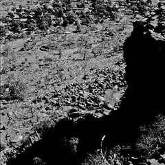 Mali reis - Dogon image 14