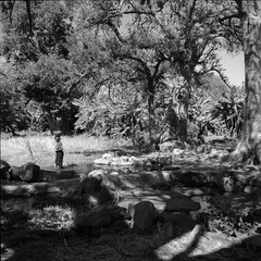 Mali reis - Dogon image 15