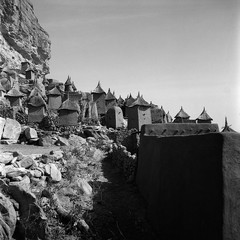 Mali reis - Dogon image 16