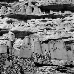 Mali reis - Dogon image 17