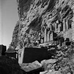 Mali reis - Dogon image 18