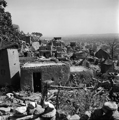 Mali reis - Dogon image 19