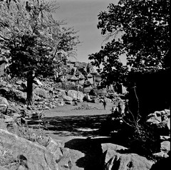 Mali reis - Dogon image 20