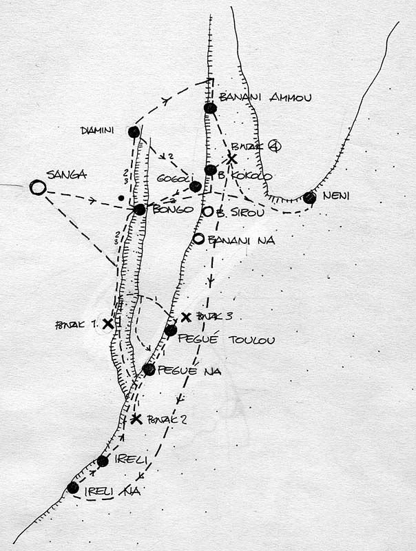 Mali reis - Dogon image 1