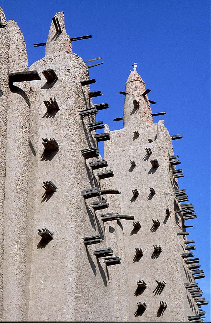 Mali reis - Dogon image 29