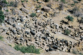 Mali reis - Dogon image 21