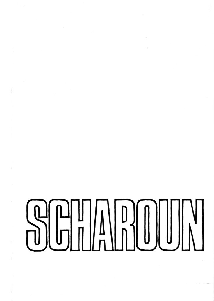 Scharoun essay image 1