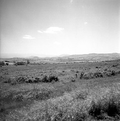 Spanje reis image 23