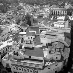 Spanje reis image 11