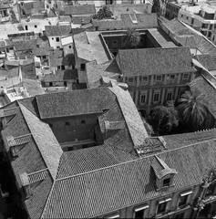 Spanje reis image 13