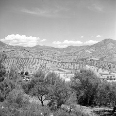 Spanje reis image 18